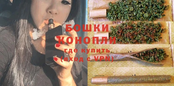 ГАЛЛЮЦИНОГЕННЫЕ ГРИБЫ Семёнов