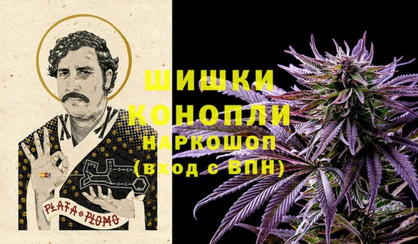 ГАЛЛЮЦИНОГЕННЫЕ ГРИБЫ Семёнов