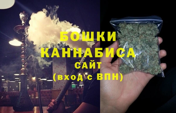ГАЛЛЮЦИНОГЕННЫЕ ГРИБЫ Семёнов