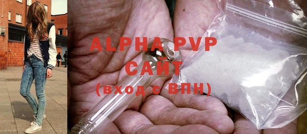 ГАЛЛЮЦИНОГЕННЫЕ ГРИБЫ Семёнов