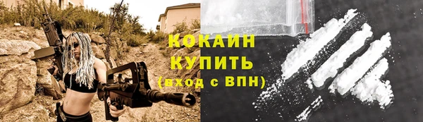 ГАЛЛЮЦИНОГЕННЫЕ ГРИБЫ Семёнов