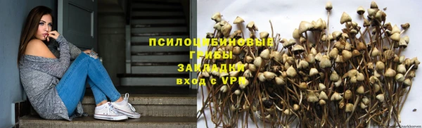 ГАЛЛЮЦИНОГЕННЫЕ ГРИБЫ Семёнов
