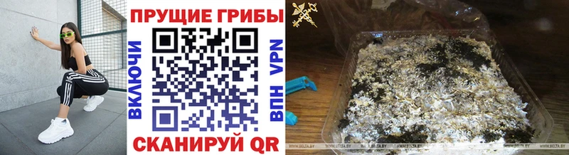 Псилоцибиновые грибы ЛСД  Сафоново 