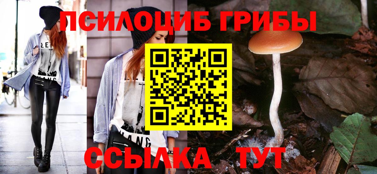 Сафоново  наркота  Галлюциногенные грибы мицелий  Вход с VPN  Псилоцибиновые грибы Psilocybine cubensis 